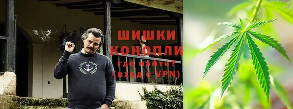 эйфоретик Надым