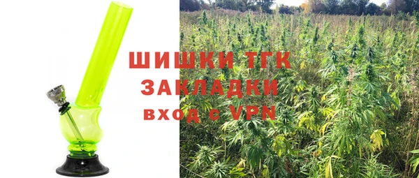 эйфоретик Надым