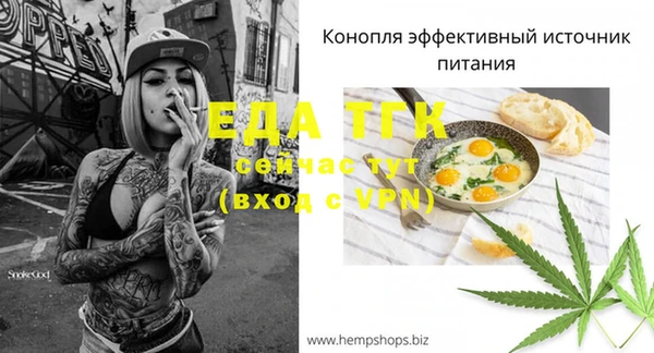 эйфоретик Надым