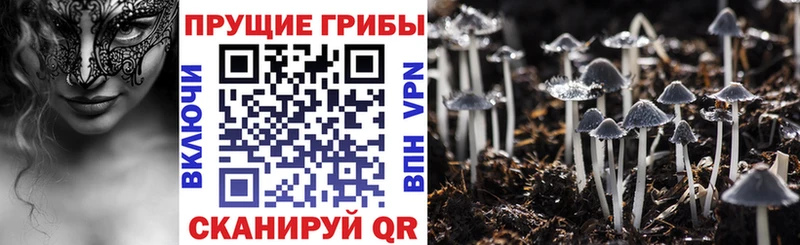 хочу наркоту  Нолинск  shop клад  Галлюциногенные грибы прущие грибы 